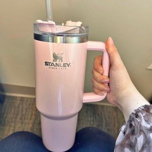 Stanley cup rare parfait pearlescent